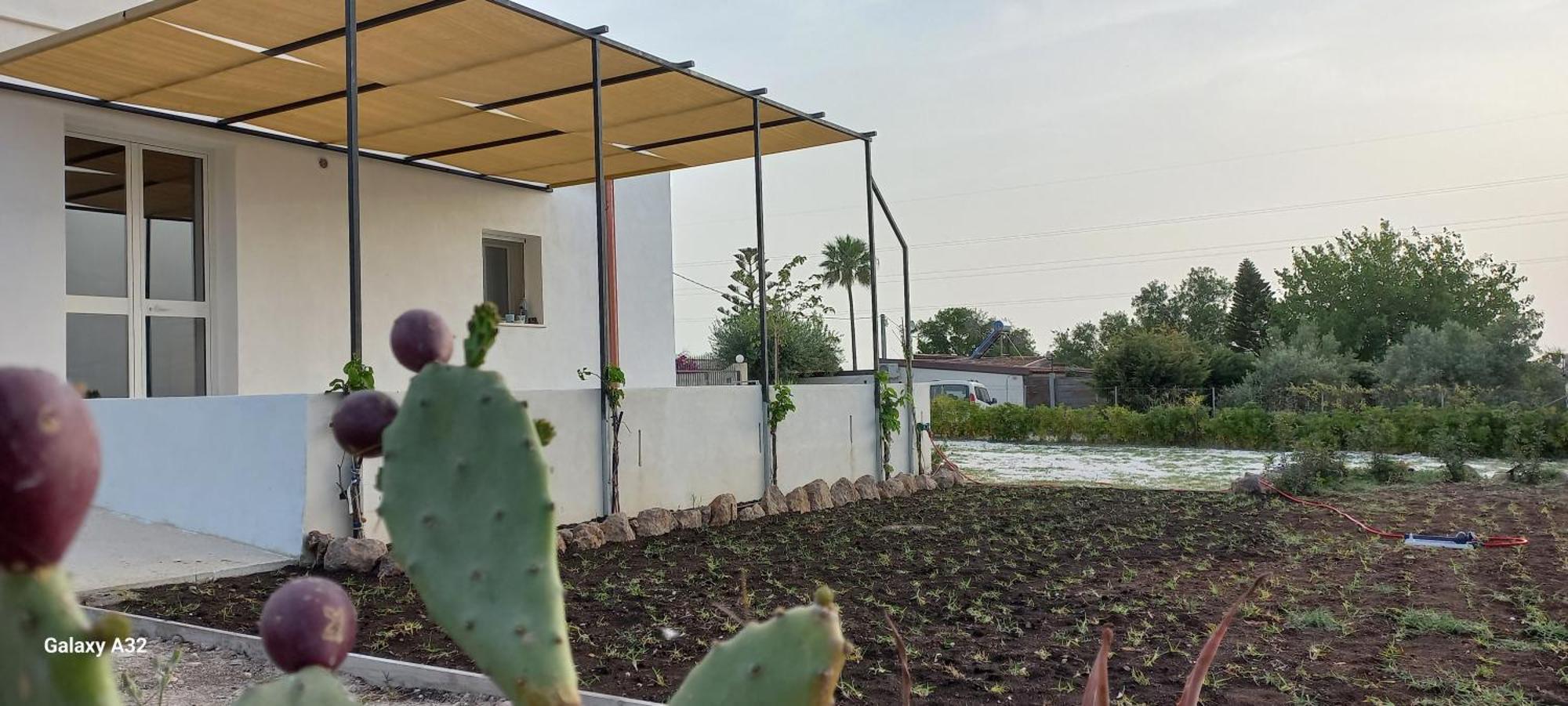 Almademari Giglio Casa Vacanza Пакіно Номер фото