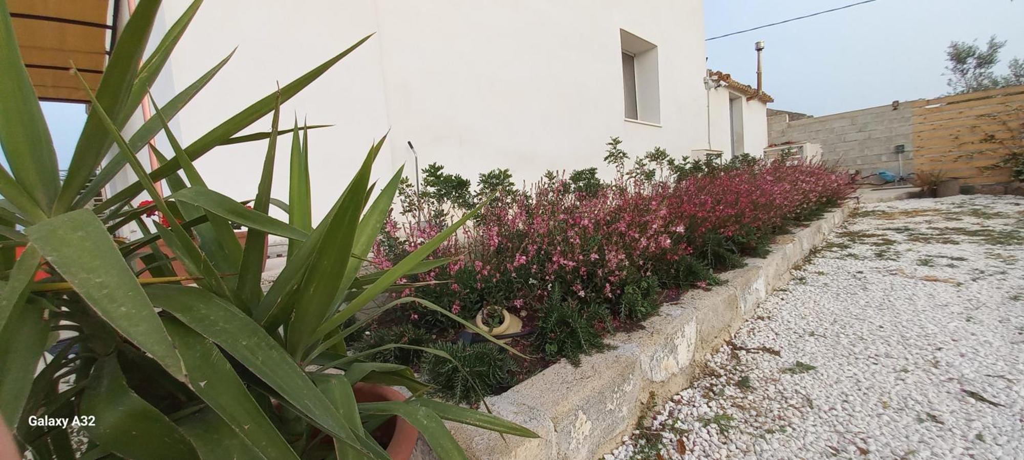 Almademari Giglio Casa Vacanza Пакіно Номер фото